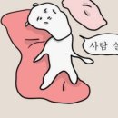 오늘된찌 네이버블로그