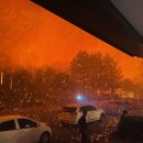 경북기름 이미지