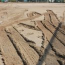 인헌초등학교 이미지