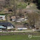 제주올레국수 이미지