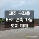 에이치앤엘 이미지