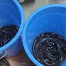 생극낚시터 이미지