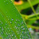 삼주1공인중개사사무소 이미지