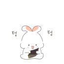 돌체음악학원 이미지
