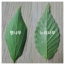 한국농어촌공사세종대전금산지사 | 금강 1000리(35)끝/웅포대교→나포십자들→금강하구둑