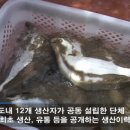 영어조합법인 청정제주 이미지