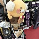 산호실내골프랜드 | [거제] 덕포 드라이버 가능한 파3 골프장 “덕포골프랜드”