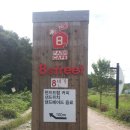 서현농원8번가 이미지