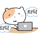 와우제 이미지