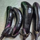 7월25일 금요일 창원방 출석부 이미지