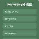 2025-08-30 [부자 첫걸음] 서울 분양권 무피 증가, 중소기업 대출 위기, 국가채무 증가, 미국 소비심리...