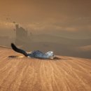 엔젤크리에이티브㈜ 이미지