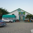 안계미나리농장 이미지