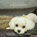 아롱펫샵 이미지