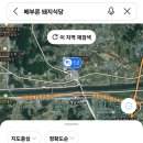 배부른돼지식당 네이버블로그