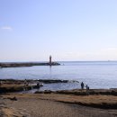 사계리 포구 사계어촌체험장 앞 도로변 | 2025년 12월의 제주여행 #사계리 #사계항 #사계해안 #황우치해변 #하멜기념비 #산방연대