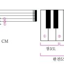메이져 이미지