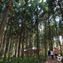 강과산이 아름다운 한옥펜션 이미지