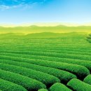 중국어 회화(심화) 이미지