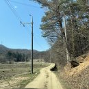 용인반딧불캠핑장 이미지