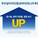 골드 이미지