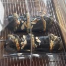 경안천 2L | 용인 처인구 카페 브라운스마일 용인점ㅣ에버랜드 근처 소금빵 원조 맛집 추천