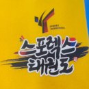스포렉스 태권도 이미지