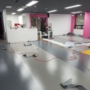 플레이독애견카페 이미지