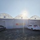 엄씨농장 | 창원 아이랑 딸기따기 체험가능한 진돌이팜 방문 후기