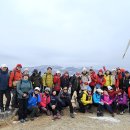 정기목장 이미지