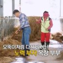 부부목장 이미지