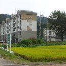 서화대대