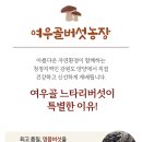 여우골농장 이미지