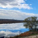 유정화원 이미지