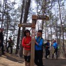 3월23일 광양 쫓비산 매화꽃 축제 [1시간 조기 출발] 산행 이미지