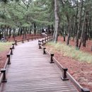 평해사구습지 이미지