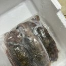 숙회 대왕오징어 갑오징어손질 갑오징어철 국내산오징어 반찬거리 가정식반찬 장항하늘마켓 솔직후기