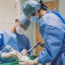 창원치과기공소 이미지