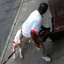 압구정집성형외과의원 이미지