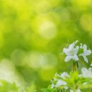 작은풍경 이미지