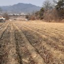 신니면사무소 이미지