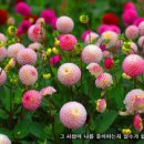 중앙유통 이미지