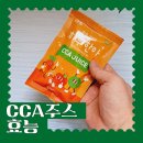 CCA주스 사과 당근 양배추 쥬스효능