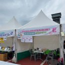 진천교육도서관 | 진천 솜사탕행사 | 진천교육도서관 축제후기