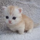 몽글몽글 이미지