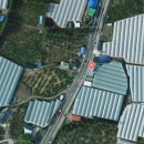 강정동-16 이미지