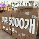 허브투 네이버블로그