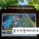함안연꽃테마파크 | 경남 함안 가볼만한곳 함안연꽃테마파크 아라홍련