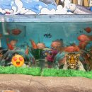 섬진강어류생태관 | 구례 아이랑 가볼만한곳 섬진강 어류생태관 후기 (25개월 아기 / 입장료 / 주차 / 체험)