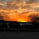 삼락강변공원 이미지